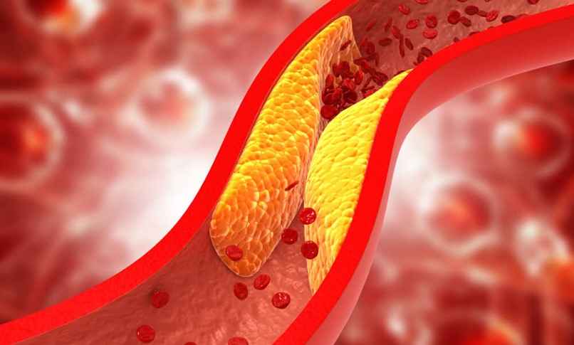 HDL Kolesterol nedir?